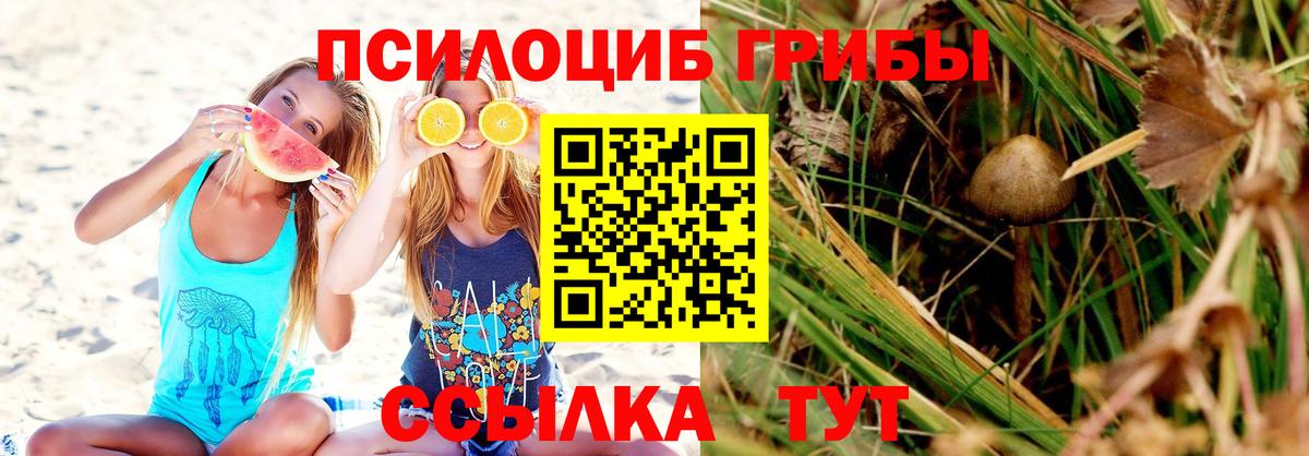 Галлюциногенные грибы ЛСД Ахтубинск