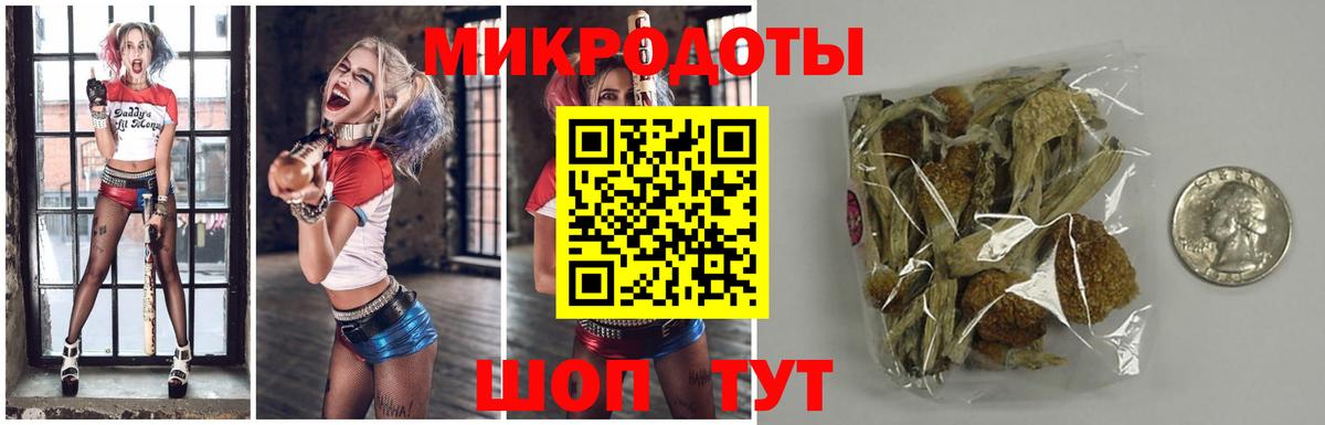 Псилоцибиновые грибы Cubensis  цена   Ахтубинск  Вход с VPN 